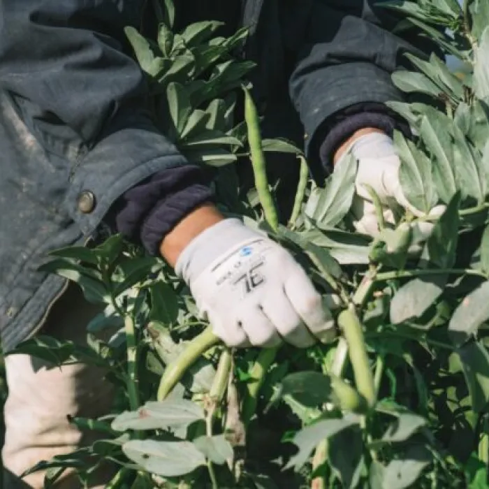 Barcelona Alimentació Sostenible