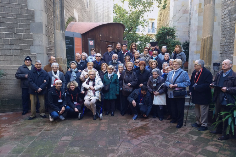 Projecte Vincles