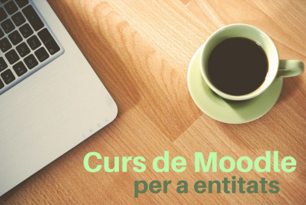 Curs Moodle